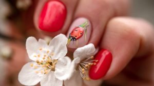 Ladybug Manicure In Spring Colors | Cute Ladybug Nails Design Tutorial Inspired By Cat Noir | lady bug nails | Featured