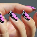 monarchbutterfly01